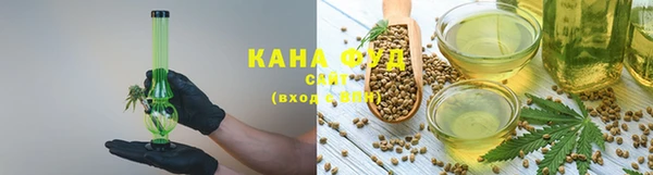 гашик Козельск