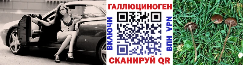 darknet формула  Стародуб  Галлюциногенные грибы Psilocybine cubensis 